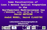 Some Peculiarities of  Case 1 Waters Optical Properties in the  Northwestern Mediterranean Sea