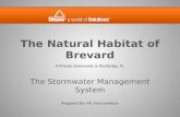 The Natural Habitat of Brevard