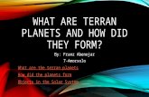 What are Terran Planets and how did they form?