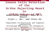 Immune Cells Detection of the  In Vivo  Rejecting Heart in  USPIO-Enhanced MRI