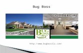Pest, Termite Control, Exterminator and Bed Bug Removal Jers