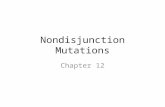 Nondisjunction  Mutations