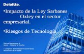 Impacto de la Ley Sarbanes              Oxley en  el sector empresarial . Riesgos de Tecnología .