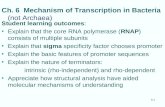 Ch. 6  Mechanism of Transcription in Bacteria (not Archaea)