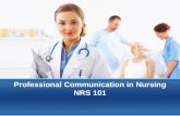 Professional Communication in Nursing NRS 101