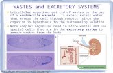 WASTES and EXCRETORY SYSTEMS