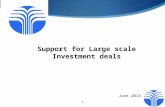 Support for Large scale  Investment  deals