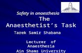 Safety in Anaesthesia : the anaesthetist's task