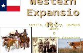 Western Expansion: