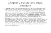 Chapter 2 culture and social structure