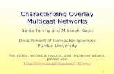 Characterizing Overlay Multicast Networks