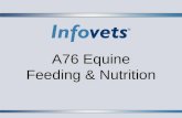 A76 Equine Feeding & Nutrition