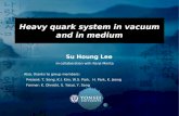 Heavy quark system in vacuum and in medium