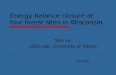 Energy balance closure at four forest sites in Wisconsin