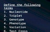Define the following terms 1. Nucleotide 2. Triplet 3. Genotype 4. Phenotype 5. Variation