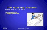 The Nursing Process Craven Unit 2 – Ch. 10-14 Cathi Collings MSN  & Peggy Korman CNM