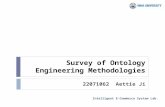 Survey of Ontology Engineering Methodologies
