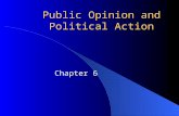 Public Opinion and Political Action