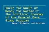 Bucks for Ducks or Money for Nothin’?: The Political Economy of the Federal Duck Stamp Program