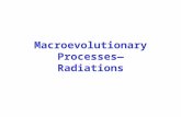 Macroevolutionary Processes— Radiations