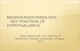 NEUROENDOCRINOLOGY,                KEY POSITION OF HYPOTHALAMUS