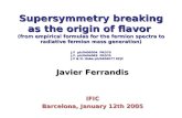 Javier Ferrandis IFIC Barcelona, January 12th 2005