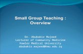 Small Group Teaching :  Overview