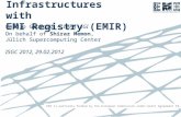 Discovering Infrastructures with  EMI Registry (EMIR)
