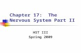 Chapter 17:  The Nervous System Part II