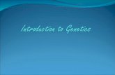 Introduction to  Genetics