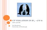 CP Violation in B 0 s  J/ y f