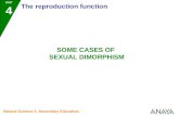 SOME CASES OF  SEXUAL DIMORPHISM
