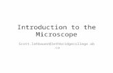 Introduction to the Microscope
