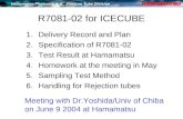 R7081-02 for ICECUBE