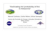 “Estimating the probability of fire  in Amazonia ”