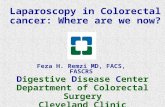 D igestive  D isease  C enter Department of Colorectal Surgery Cleveland Clinic
