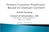 Protein Function Prediction Based on Domain Content