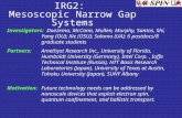 IRG2:  Mesoscopic Narrow Gap Systems