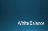 White Balance