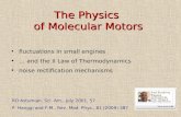 The Physics  of Molecular Motors
