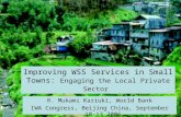Improving WSS Services in Small Towns:  Engaging the Local Private Sector