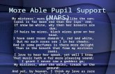 More Able Pupil Support (MAPS)