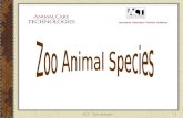 Zoo Animal Species
