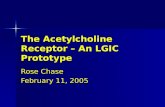 The Acetylcholine Receptor – An LGIC Prototype