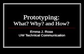 Prototyping:  What? Why? and How?