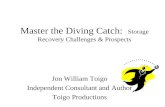 Master the Diving Catch:   Storage Recovery Challenges & Prospects
