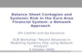 Balance Sheet Contagion and Systemic Risk in the Euro Area Financial System: a Network Approach