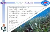 Posidonia oceanica , a usefull tool to biomonitor the pollution of Mediterranean coastal