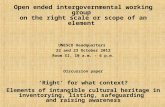 Open ended intergovernmental working group  on the right scale or scope of an element