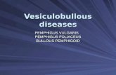 Vesiculobullous  diseases